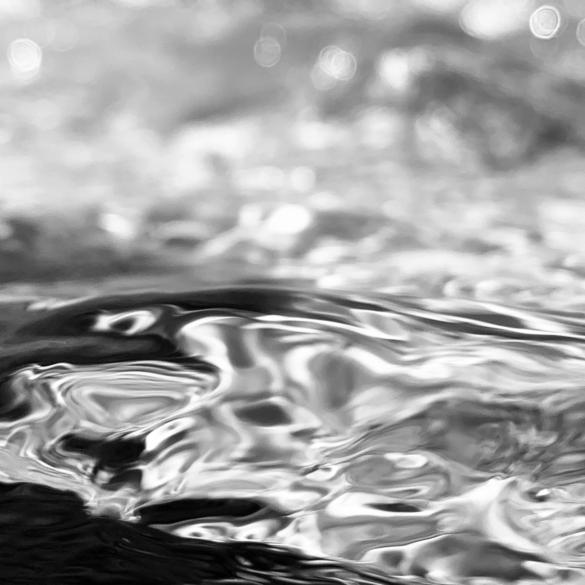 Running Water / March 6, 2019 / Boone, North Carolina