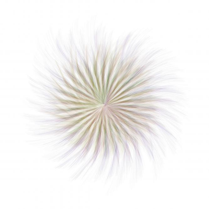 Image_7