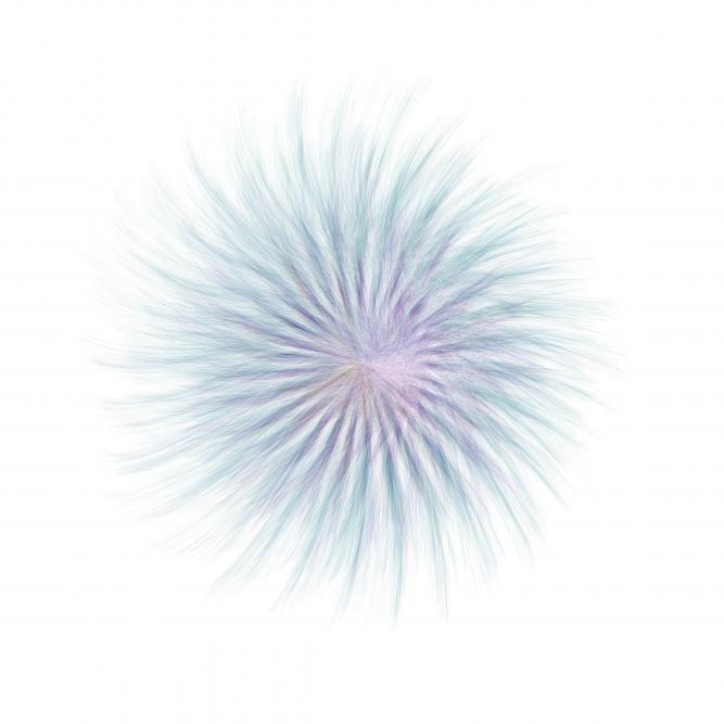 Image_8