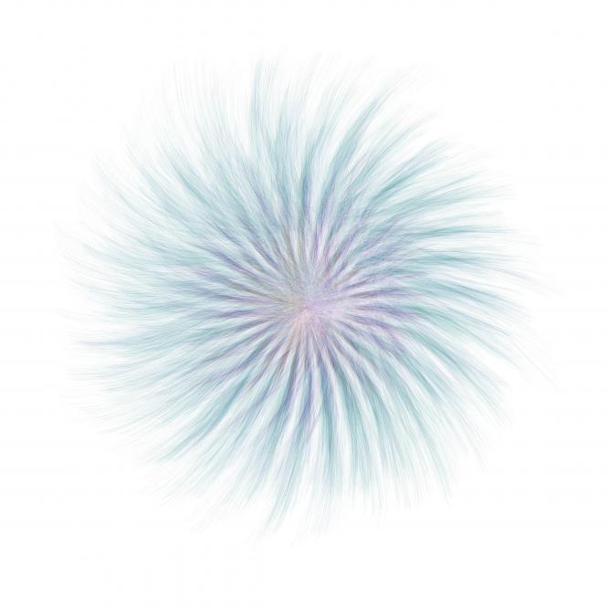 Image_6