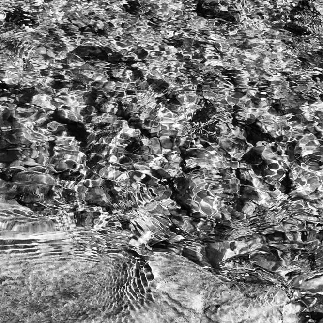 Image_12