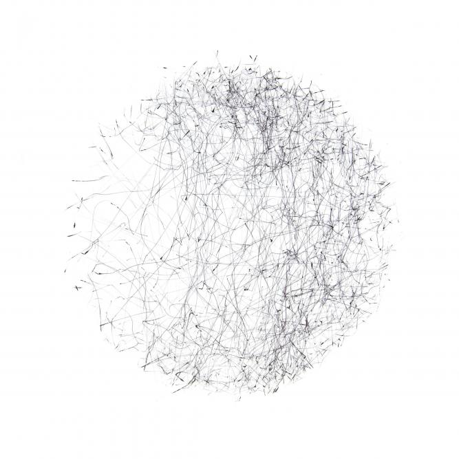 Image_7
