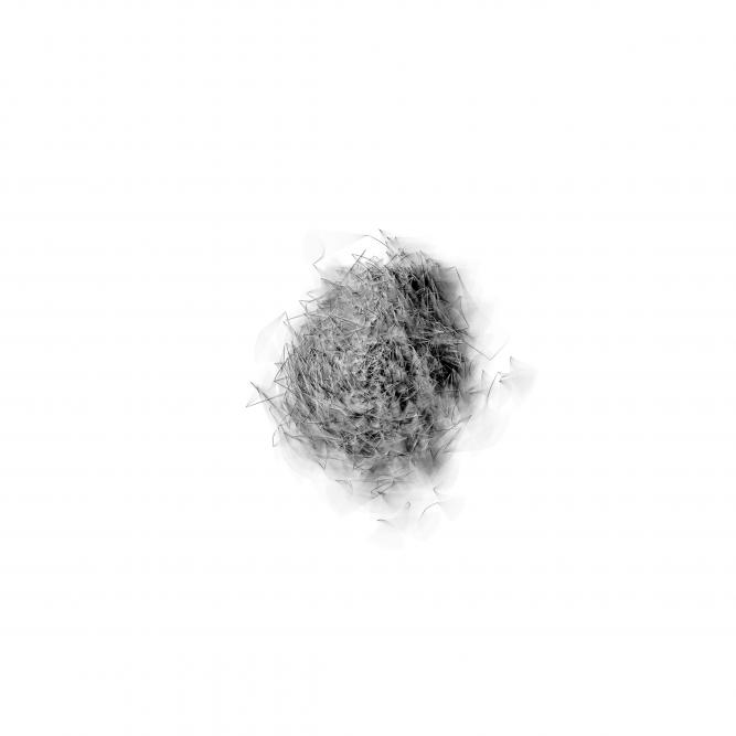 Image_2