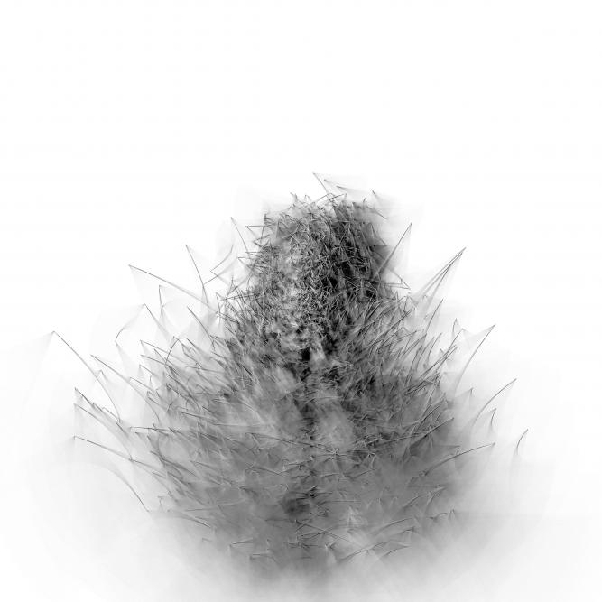 Image_5