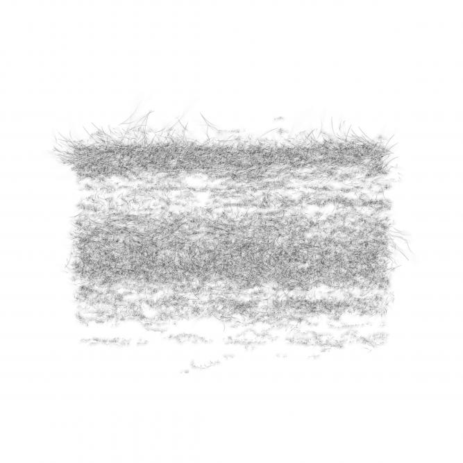 Image_1