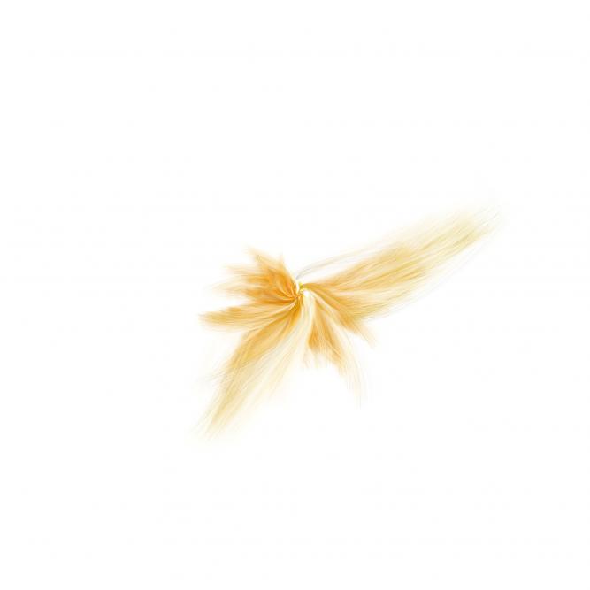 Image_2