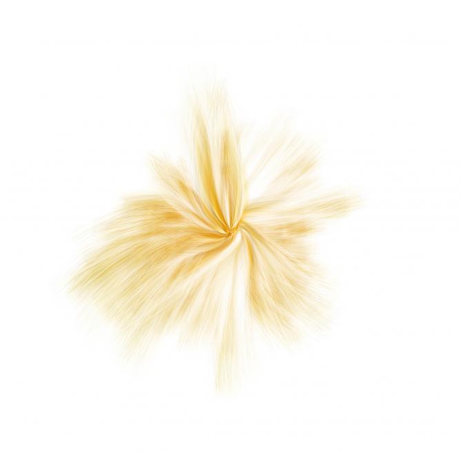 Image_4
