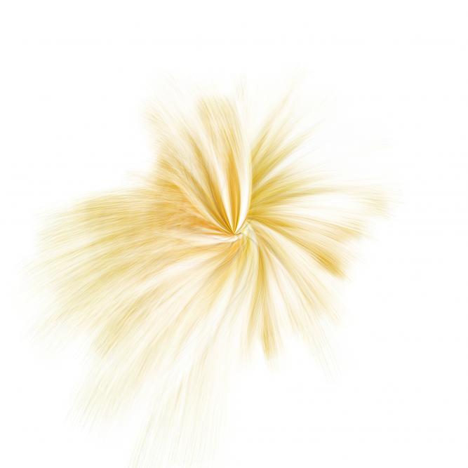 Image_5