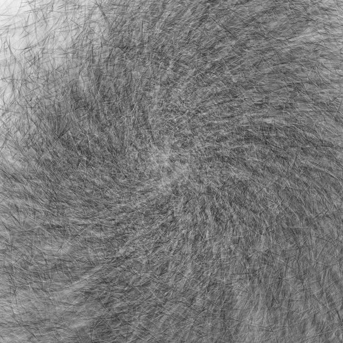 Image_0