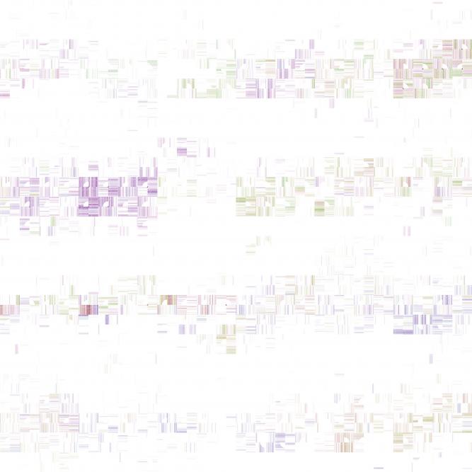 Image_2