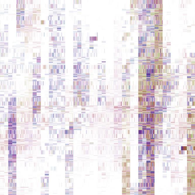 Image_2