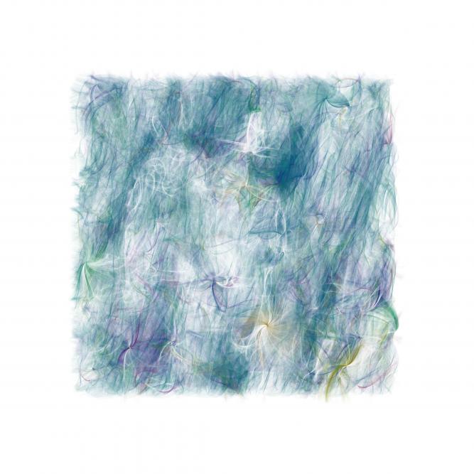 Image_1