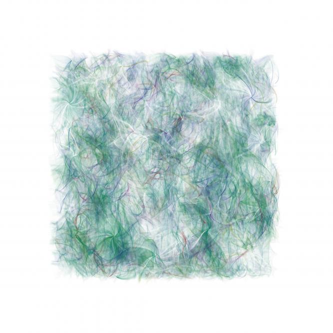 Image_6