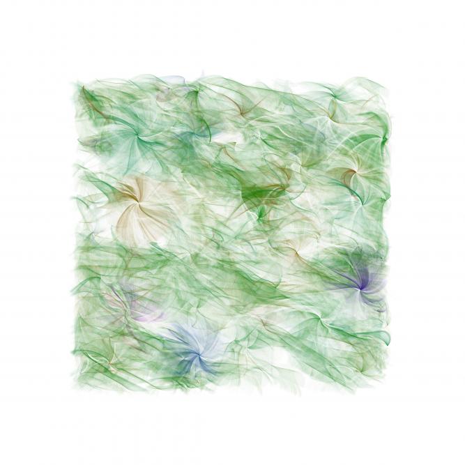 Image_7