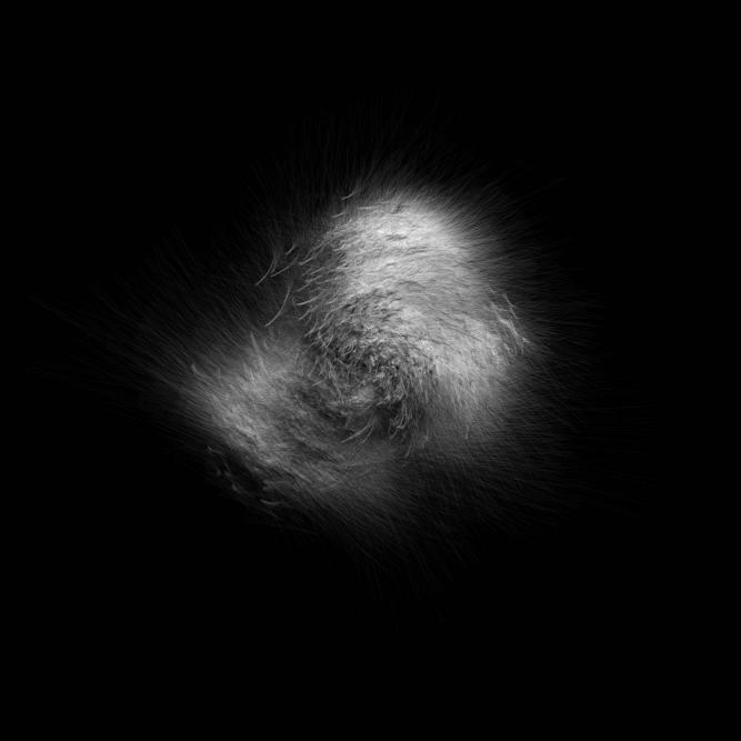 Image_0