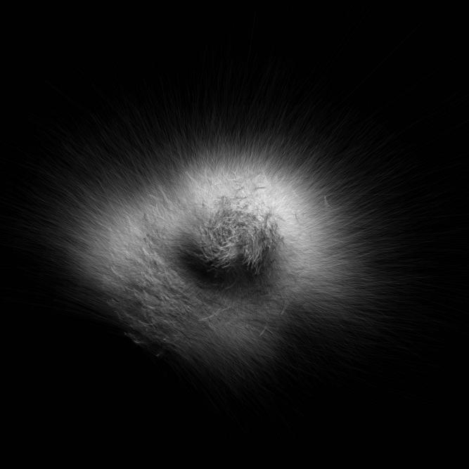Image_5
