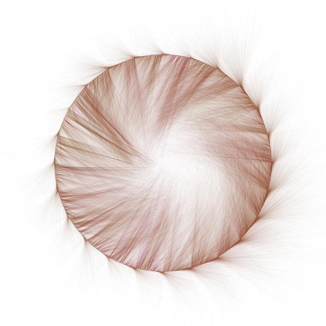 Image_6