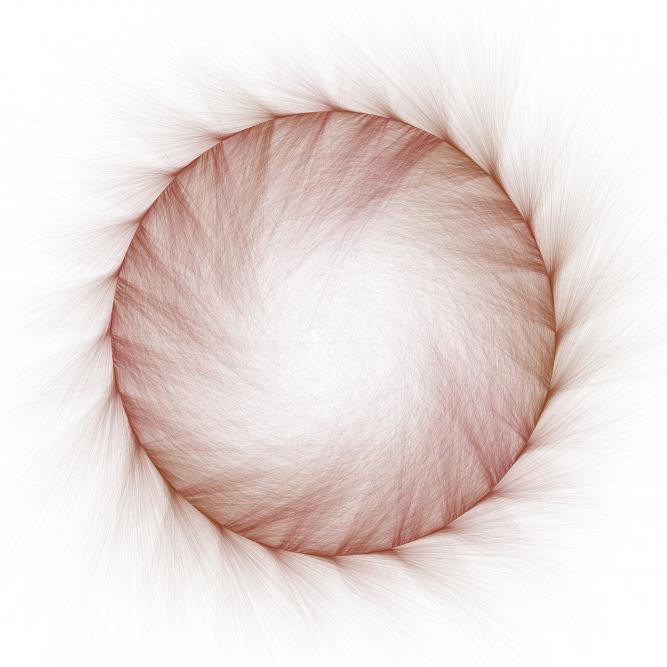 Image_7