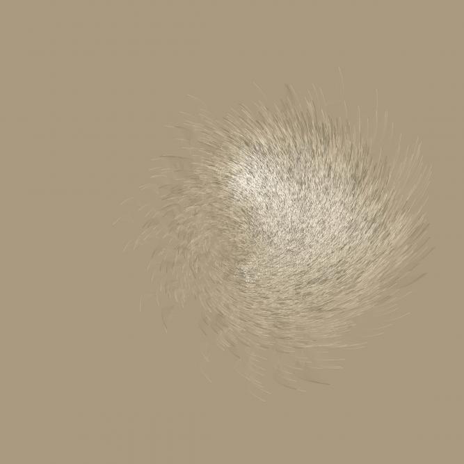 Image_8